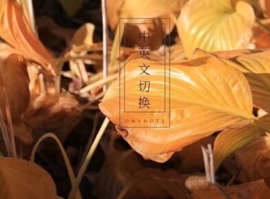 網站中英文切換怎么做？